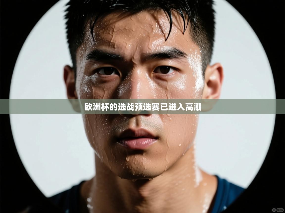 欧洲杯的选战预选赛已进入高潮 第1张