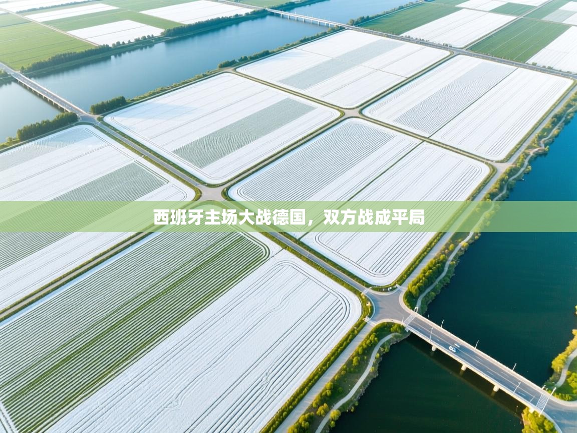 西班牙主场大战德国，双方战成平局  第1张