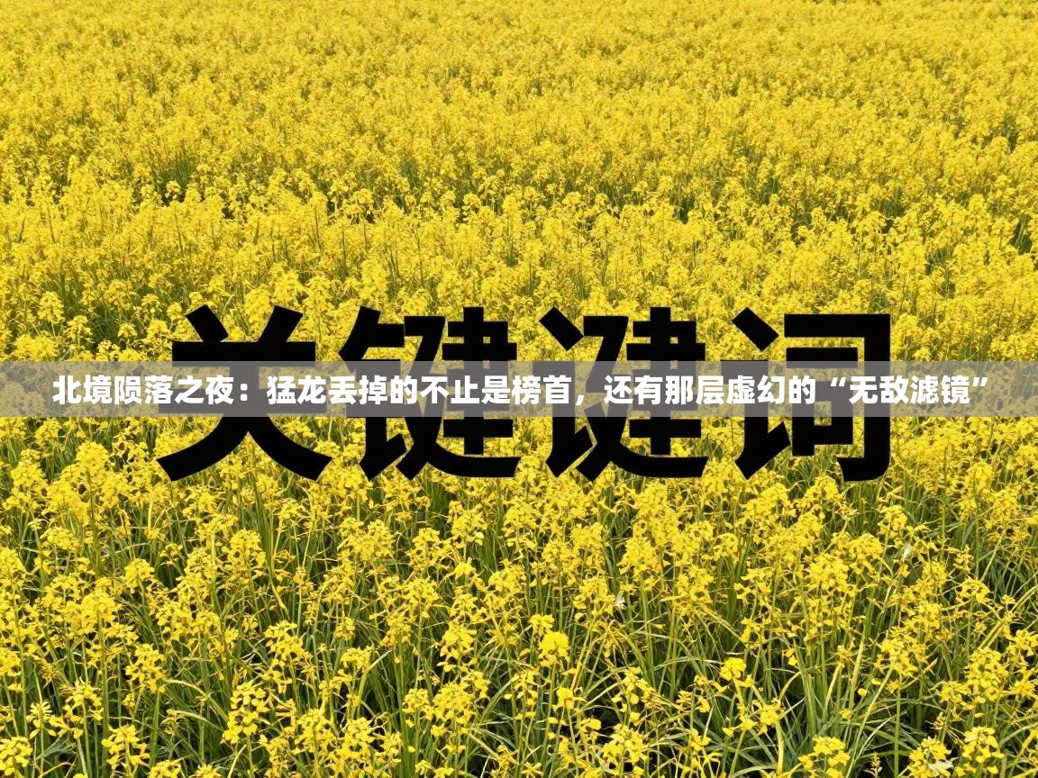 北境陨落之夜：猛龙丢掉的不止是榜首，还有那层虚幻的“无敌滤镜”  第2张