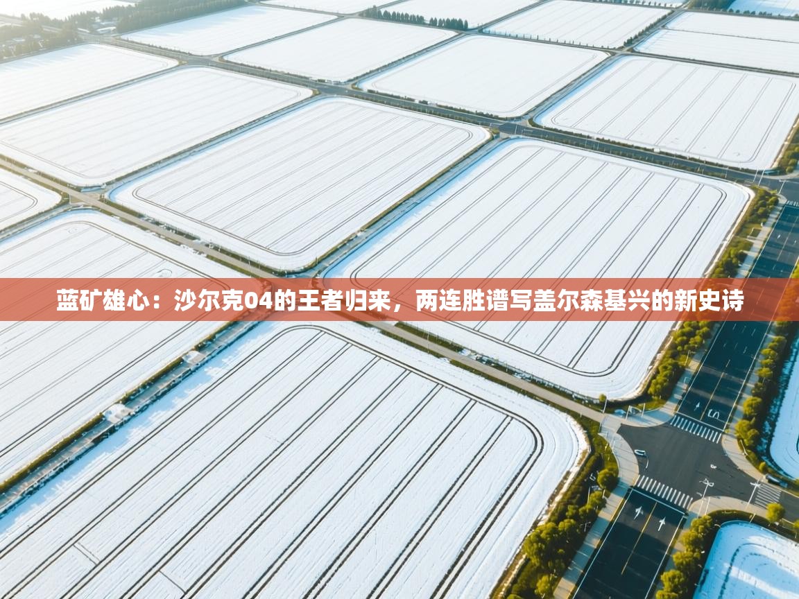 蓝矿雄心：沙尔克04的王者归来，两连胜谱写盖尔森基兴的新史诗  第1张