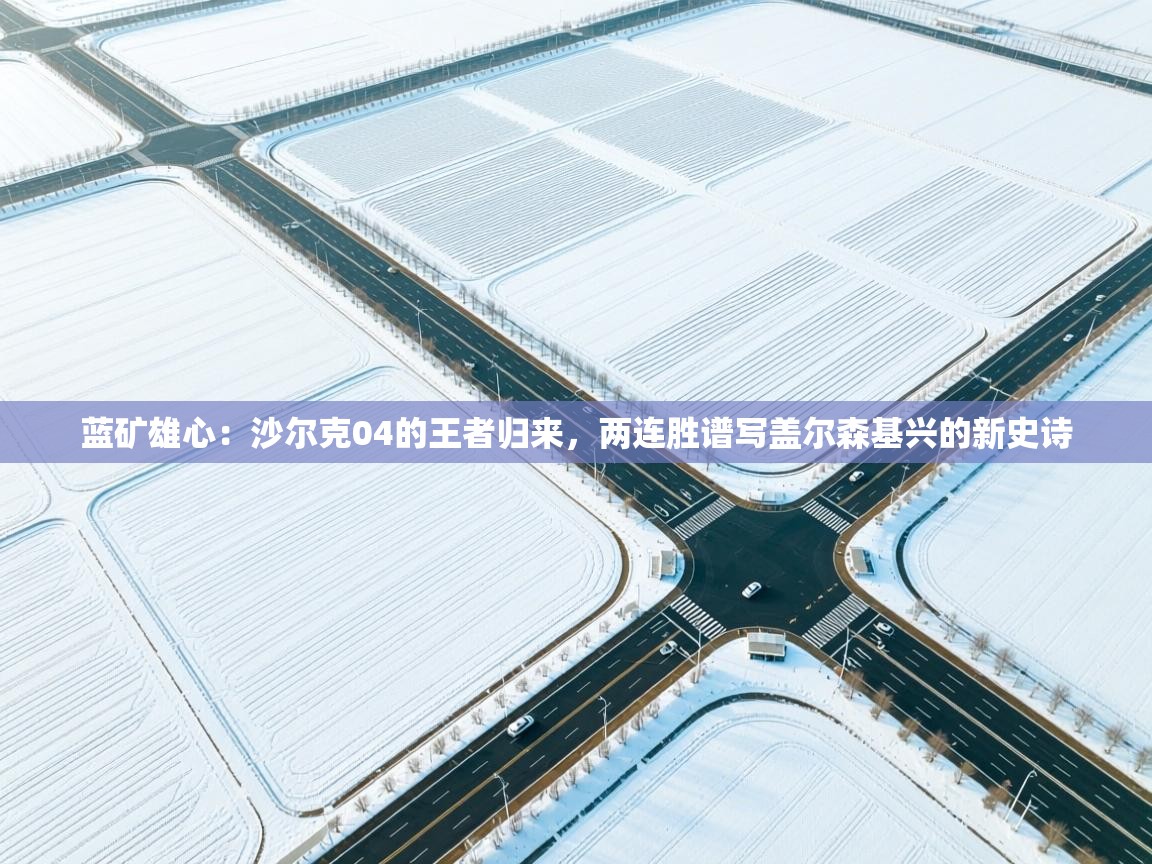 蓝矿雄心：沙尔克04的王者归来，两连胜谱写盖尔森基兴的新史诗  第2张