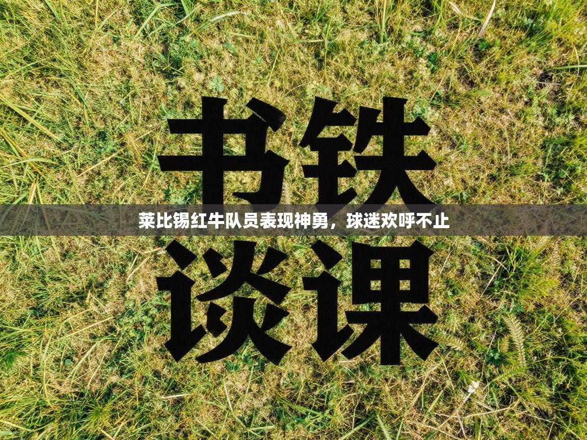 莱比锡红牛队员表现神勇，球迷欢呼不止  第1张