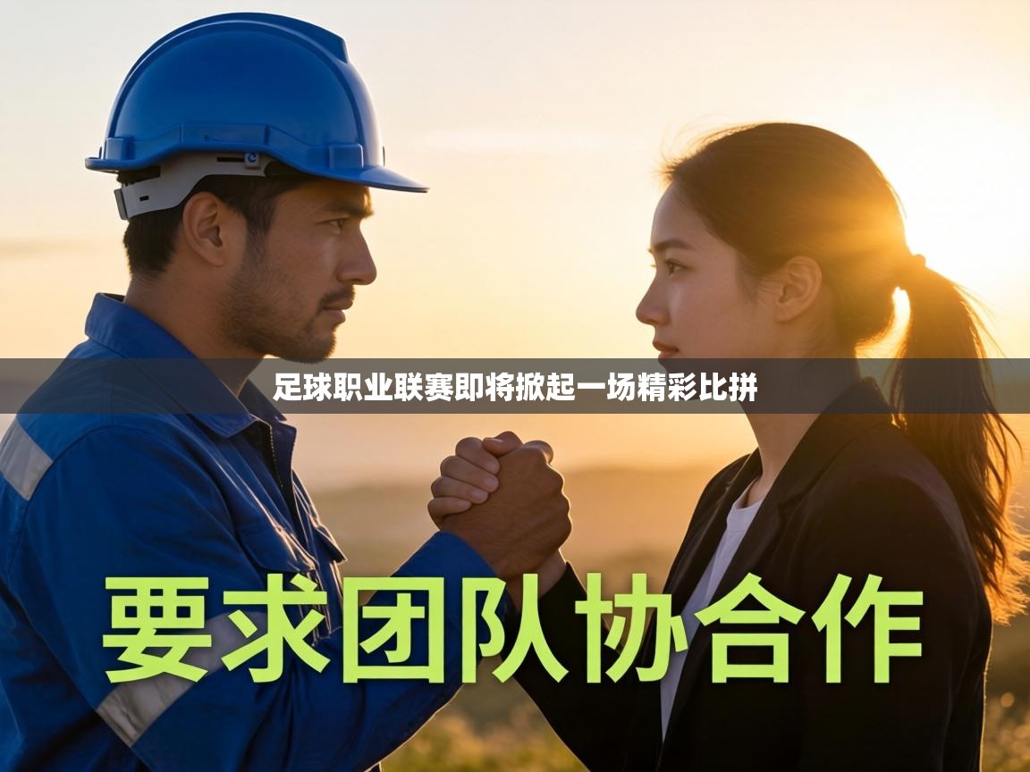 足球职业联赛即将掀起一场精彩比拼  第1张